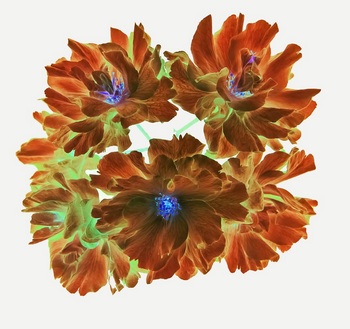 F 053A